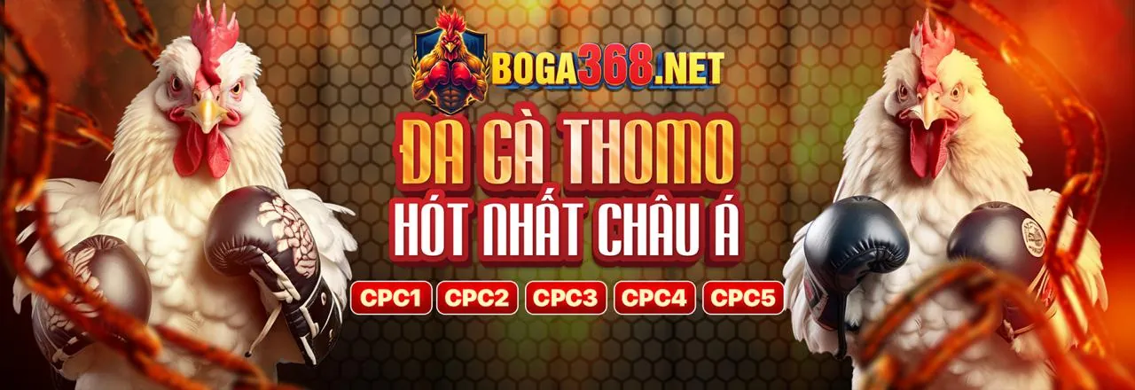 Hình ảnh cờ bạc có trách nhiệm tại q68bet nổ hũ